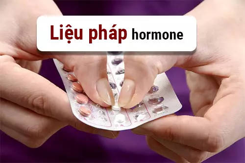 Lieu-phap-hormone-cai-thien-ung-thu-vu-di-can.webp